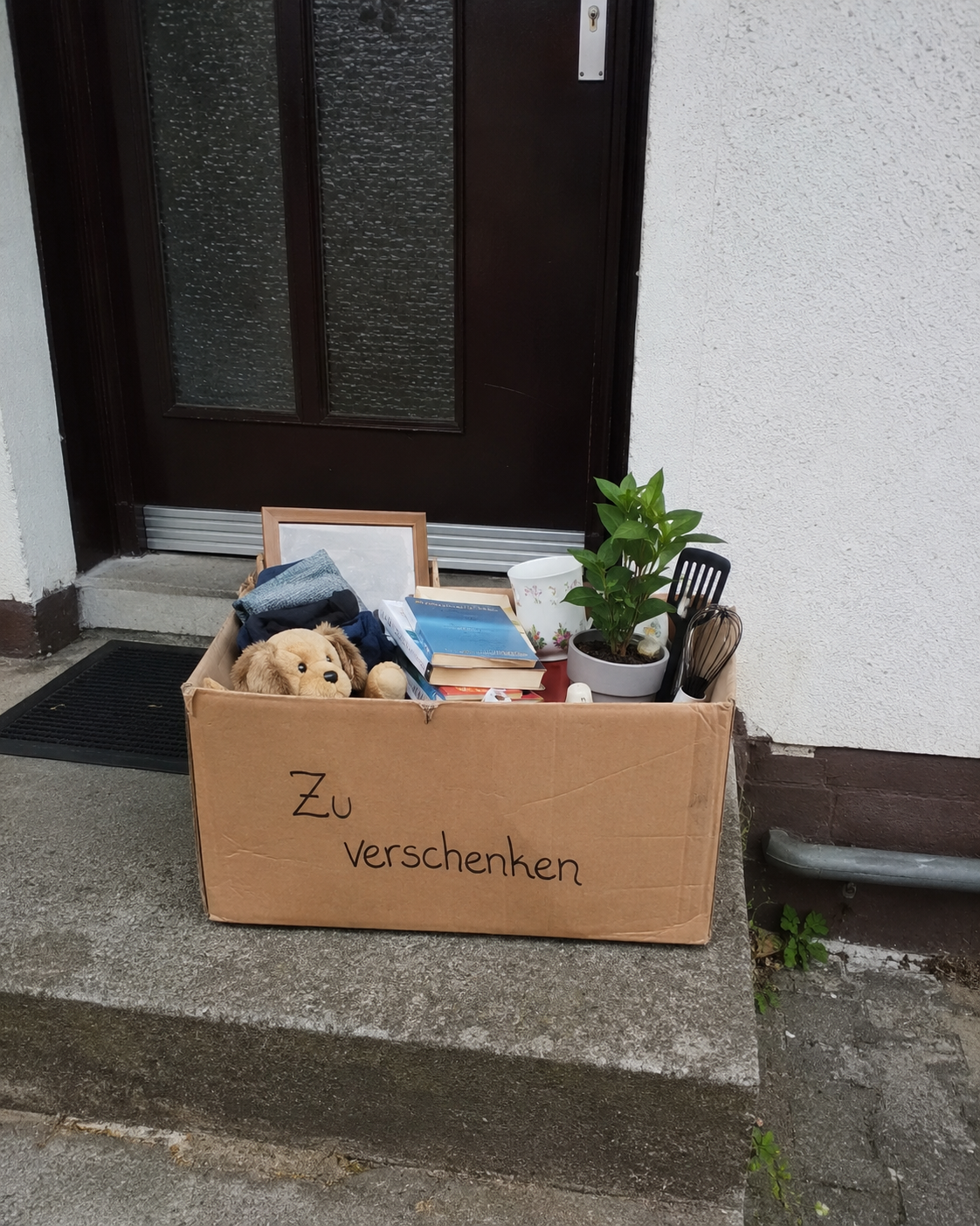 Gepackte Zu-verschenken-Kiste mit Büchern, Pflanze, Tasse und Küchenhelfern vor einer Haustür.